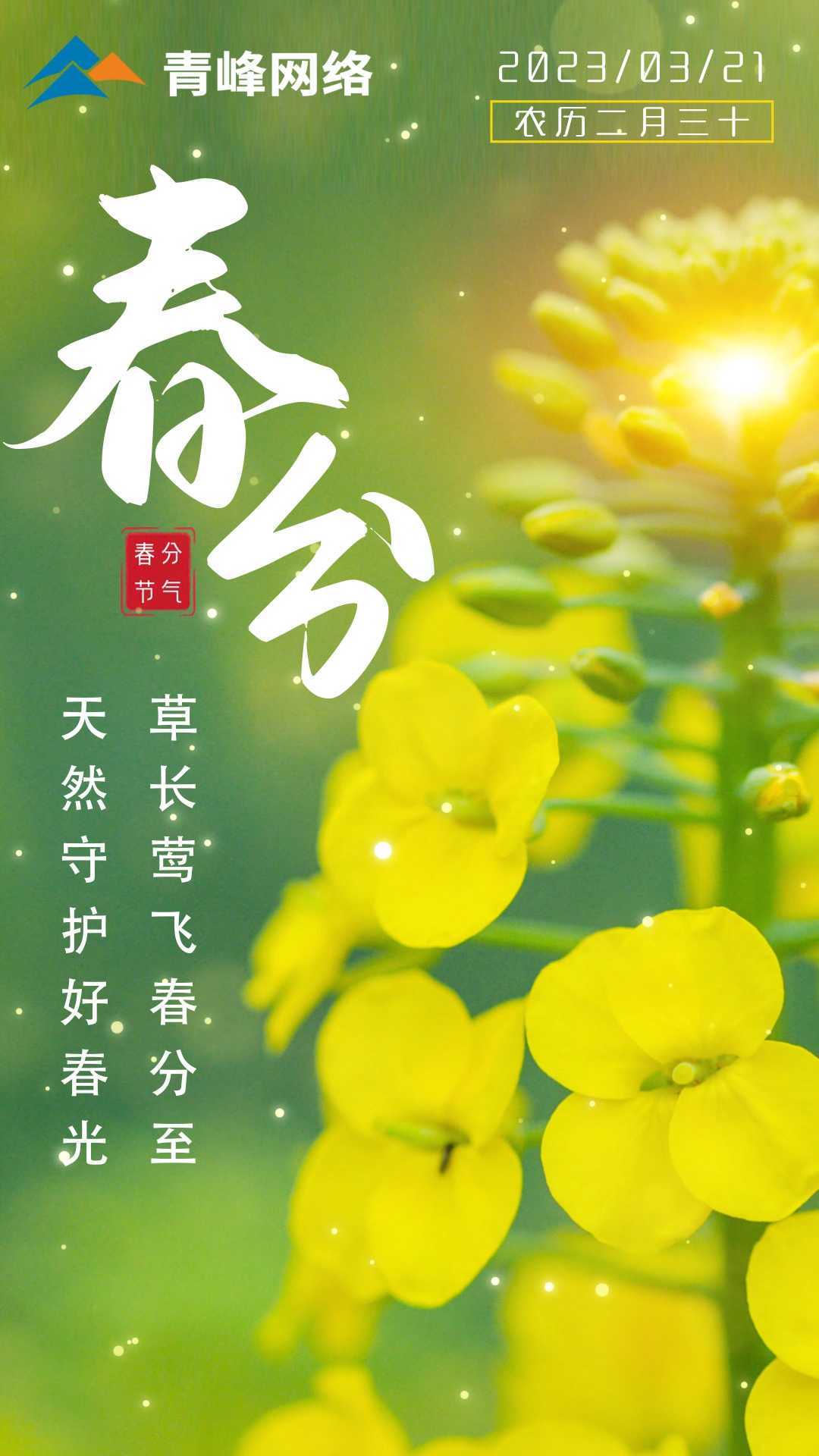 【春分】草長(zhǎng)鶯飛春分至，天然守護(hù)好春光。
